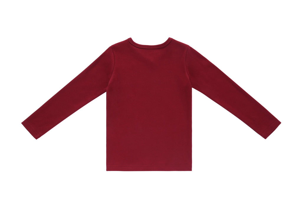 Burgundy v-neck long sleeve